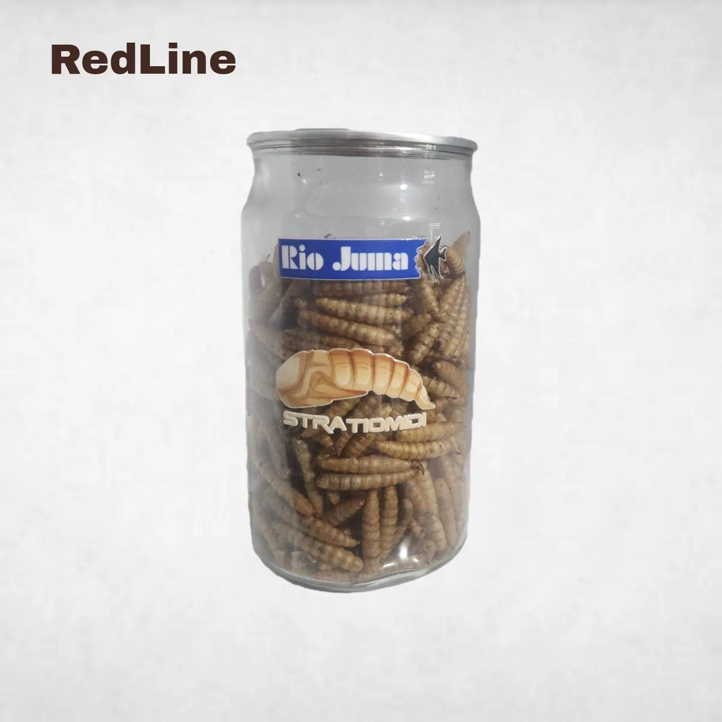 rio-juma-stratiomidi-larvae-food-1 لارو مگس سرباز سیاه Rio Juma (مدل Stratiomidi) - مکمل پروتئین و کلسیم - تصویر 1